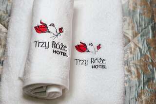 Отель Hotel Trzy Róże Люблин Номер-студио Делюкс с кроватью размера "king-size"-4